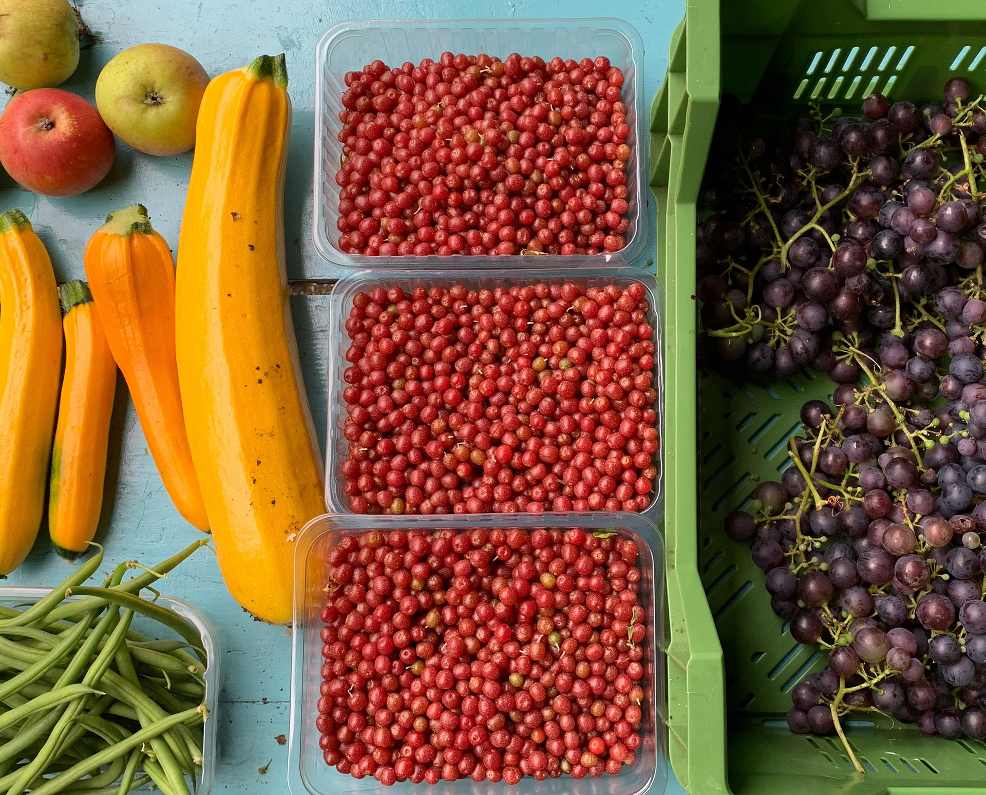 streek3oogst10juli2016