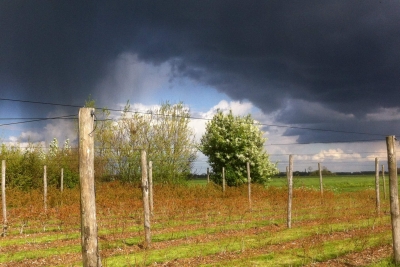 April doet wat zij wil