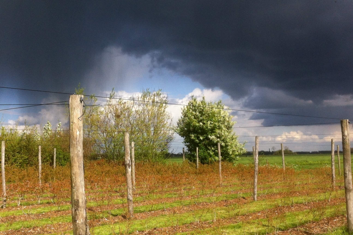 April doet wat zij…